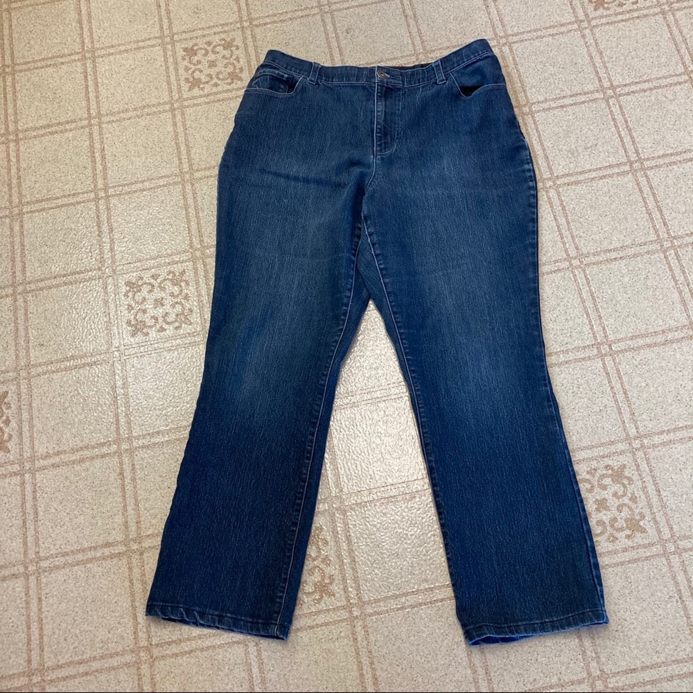 plus size CJ BANKS JEANS
